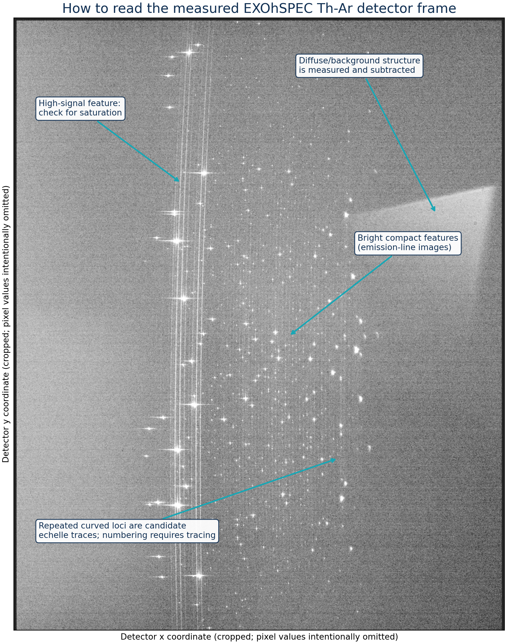 Annotated high-contrast EXOhSPEC thorium-argon detector image showing emission-line images, high-signal features, background structure, and candidate echelle traces.